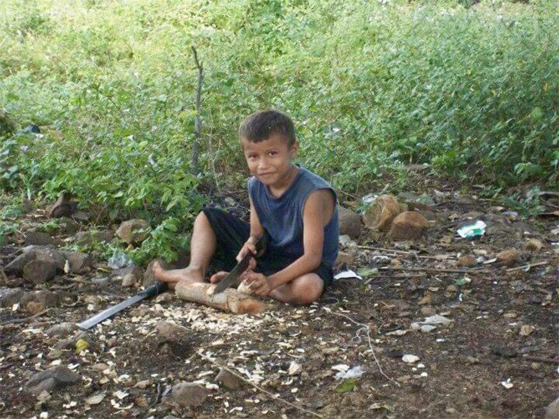 Miniatura de la galería